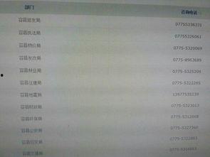 新闻爆料电话号码,追踪真相的神秘号码  第1张