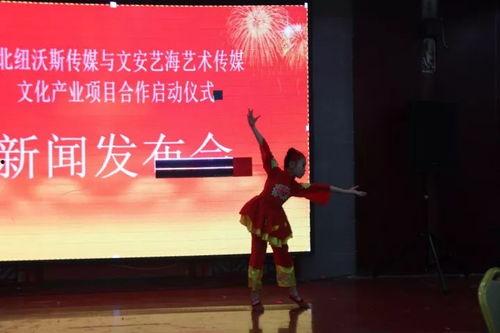 文安女士爆料新闻,揭秘娱乐圈惊人内幕  第2张